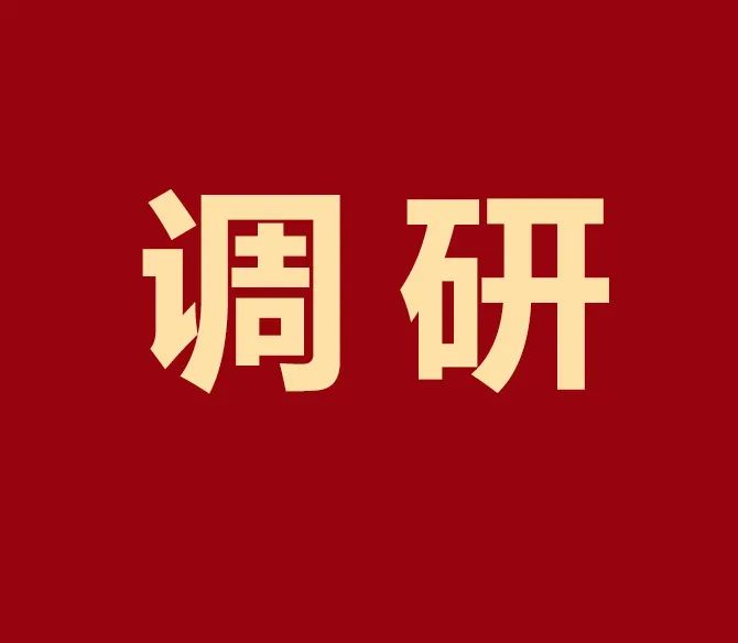 廣東省中小企業(yè)特色產(chǎn)業(yè)集群調(diào)研組蒞臨凱碩集團(tuán)調(diào)研